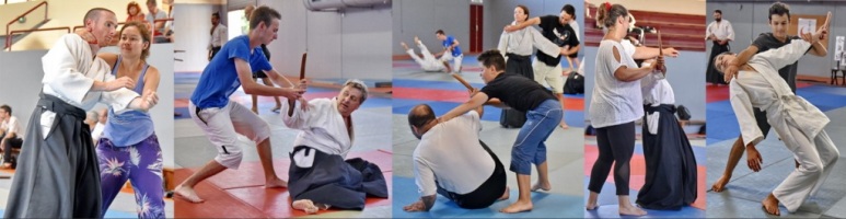 Professeur aïkido Bretagne filiation Ueshiba Tamura Peyrache shihan